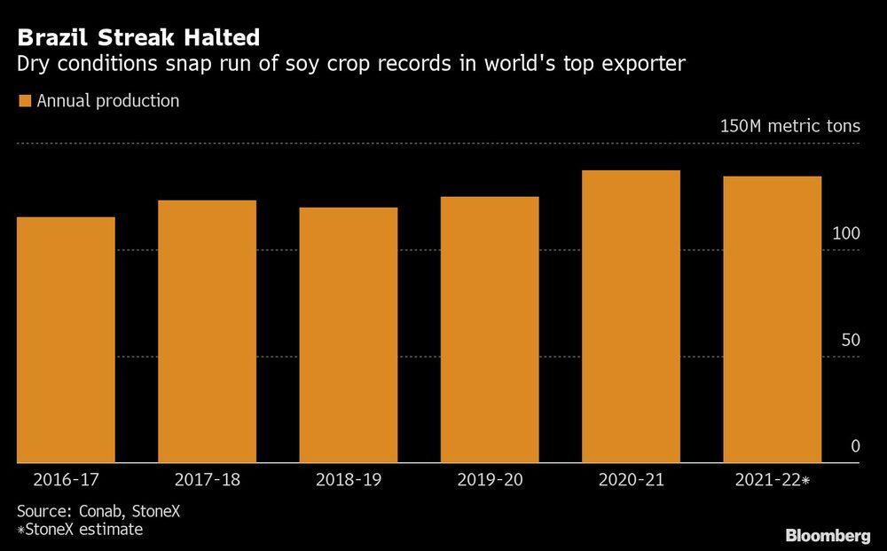 Las condiciones de sequía interrumpen la racha de cosechas de soja en el principal exportador mundial Las condiciones de sequía interrumpen la racha de cosechas de soja en el principal exportador mundial