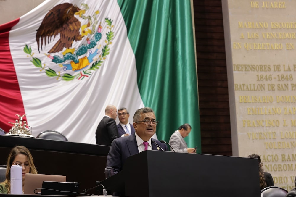 Carol Altamirano, presidente de la Comisión de Hacienda y Crédito Público de la Cámara de Diputados, durante la fundamentación de la reforma a la Ley Aduanera. Carol Altamirano, presidente de la Comisión de Hacienda y Crédito Público de la Cámara de Diputados, durante la fundamentación de la reforma a la Ley Aduanera.