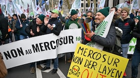 Mercosur quiere que la Unión Europea sepa que tiene otras opciones Mercosur quiere que la Unión Europea sepa que tiene otras opciones