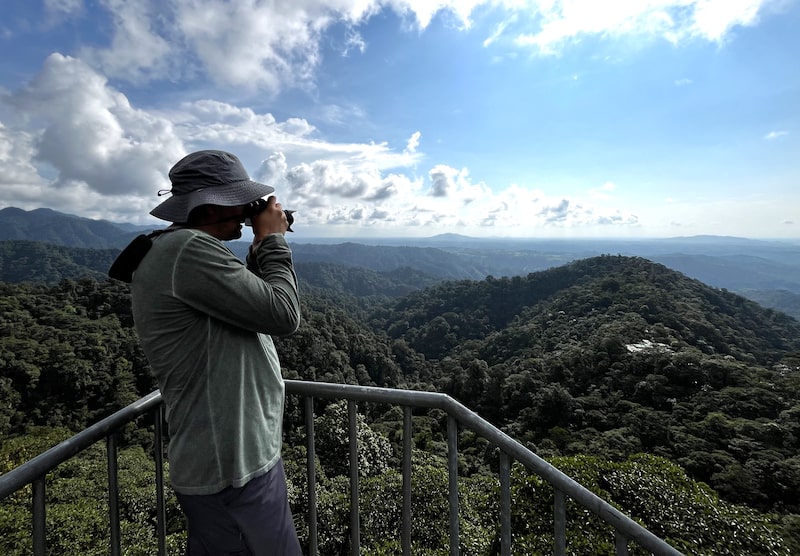 Mashpi Lodge, Chocó Andino, Quito-Ecuador Mashpi Lodge, Chocó Andino, Quito-Ecuador