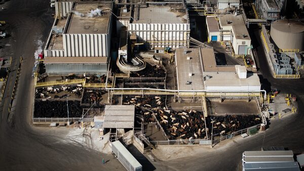 Envasador de carne JBS pagará US$1,1 millones por acusaciones de “greenwashing” en EE.UU. Envasador de carne JBS pagará US$1,1 millones por acusaciones de “greenwashing” en EE.UU.