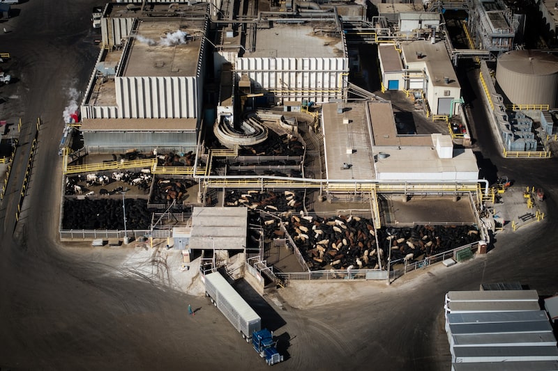 Camiones ganaderos descargan ganado en una planta empacadora de carne de JBS Greeley en Greeley, Colorado, en febrero.
Fotógrafo: Chet Strange/Bloomberg Camiones ganaderos descargan ganado en una planta empacadora de carne de JBS Greeley en Greeley, Colorado, en febrero.
Fotógrafo: Chet Strange/Bloomberg