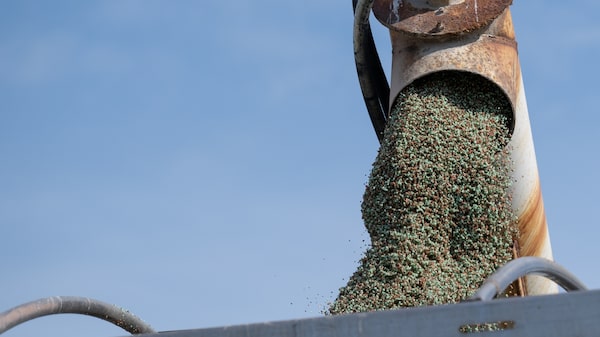 Tensão no Estreito de Ormuz ameaça oferta de fertilizantes para Brasil e Argentina Tensão no Estreito de Ormuz ameaça oferta de fertilizantes para Brasil e Argentina