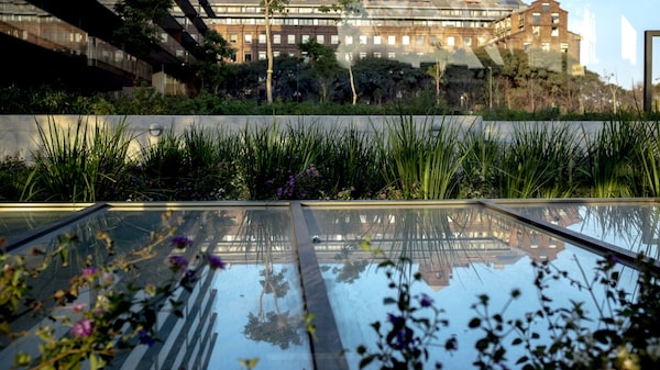 AySA se acerca a consenso entre acreedores para reestructurar deuda por US$500M AySA se acerca a consenso entre acreedores para reestructurar deuda por US$500M