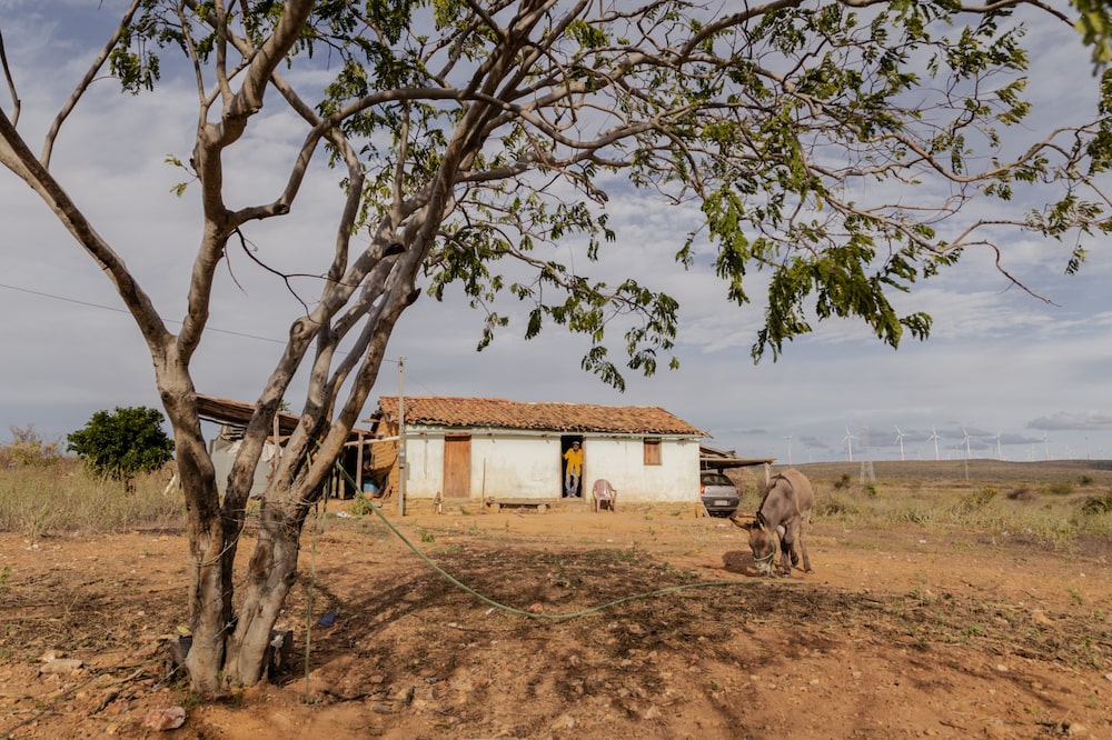 Edislao dos Santos' grandfather stands in the doorway of his home in the Mulungu Quilombola community, next to the large wind energy production parks in Morro do Chapeu, Bahia. Edislao dos Santos' grandfather stands in the doorway of his home in the Mulungu Quilombola community, next to the large wind energy production parks in Morro do Chapeu, Bahia.