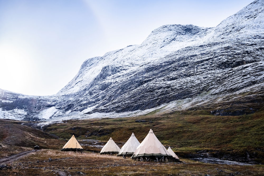 Groenlandia Groenlandia