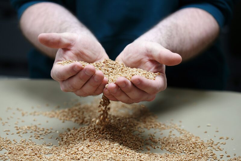 No entanto, sindicatos afirmam enfrentar problemas para exportar seus produtos No entanto, sindicatos afirmam enfrentar problemas para exportar seus produtos