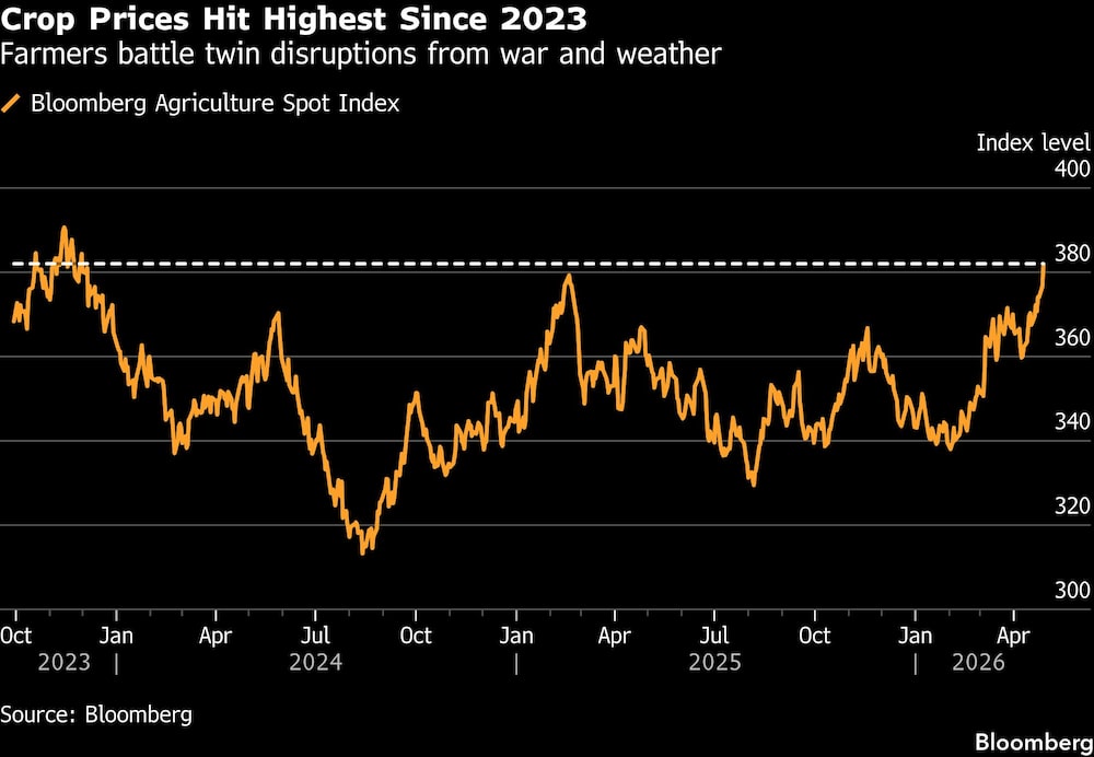 Crop Prices Hit Highest Since 2023 | Farmers battle twin disruptions from war and weather Crop Prices Hit Highest Since 2023 | Farmers battle twin disruptions from war and weather