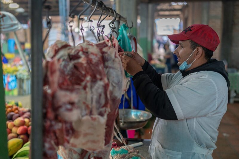 Encrucijada en Colombia: auge de exportaciones ganaderas impulsa precios internos Encrucijada en Colombia: auge de exportaciones ganaderas impulsa precios internos