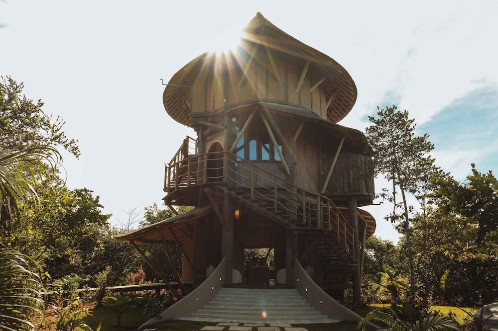 Vista del Colibrí Treehouse Spa en Nayara Bocas del Toro. Vista del Colibrí Treehouse Spa en Nayara Bocas del Toro.