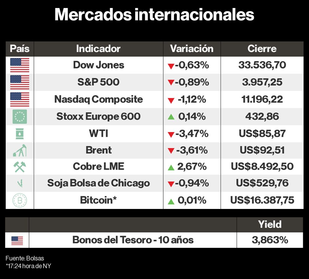 OsoToro 14 noviembre 2022 OsoToro 14 noviembre 2022