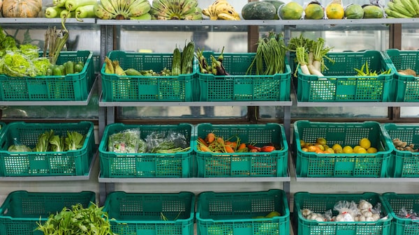 No es necesario ser vegano para ayudar a salvar el planeta No es necesario ser vegano para ayudar a salvar el planeta