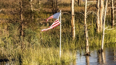 Democratas querem que Biden declare ‘emergência climática’ Democratas querem que Biden declare ‘emergência climática’