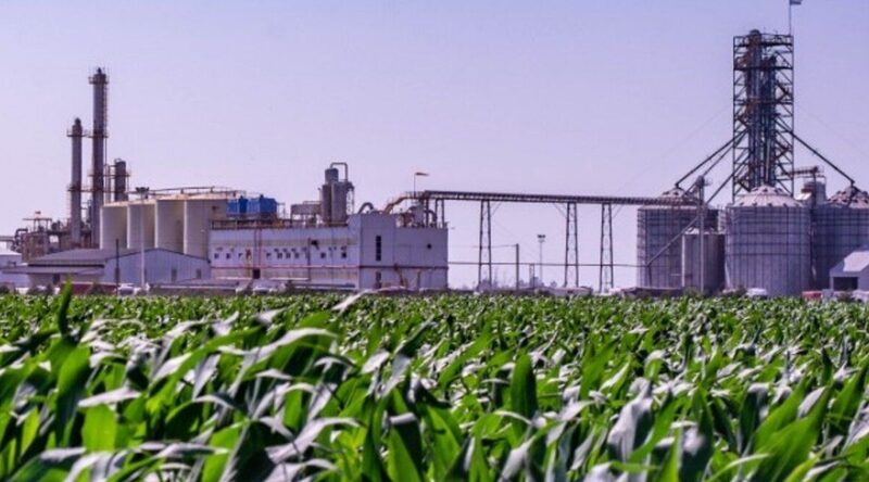 Biocombustibles Biocombustibles