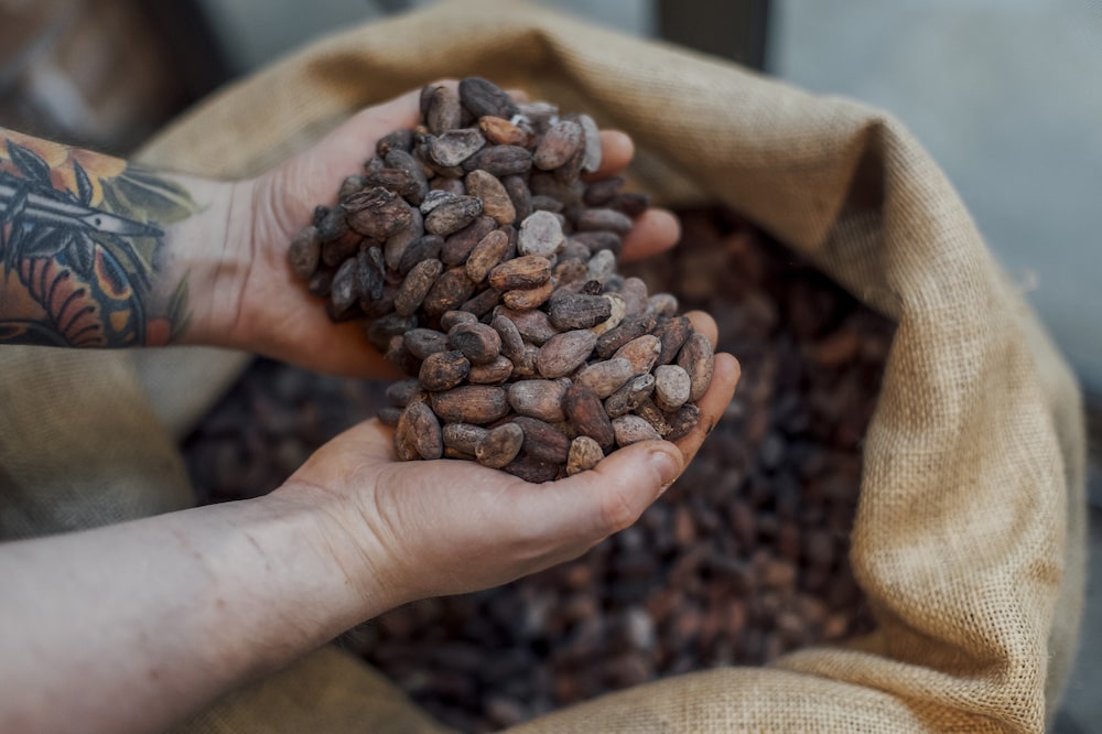 An employee selects cocoa beans for roasting at Alain Ducasse's chocolate factory in Paris, France, on Monday, April 22, 2024. Cocoa production is expected to recover next year as the impact of El Nino fades, Marijn Moesbergen, sourcing lead at Cargill, said at the World Cocoa Conference in Brussels. Photographer: Cyril Marcilhacy/Bloomberg An employee selects cocoa beans for roasting at Alain Ducasse's chocolate factory in Paris, France, on Monday, April 22, 2024. Cocoa production is expected to recover next year as the impact of El Nino fades, Marijn Moesbergen, sourcing lead at Cargill, said at the World Cocoa Conference in Brussels. Photographer: Cyril Marcilhacy/Bloomberg