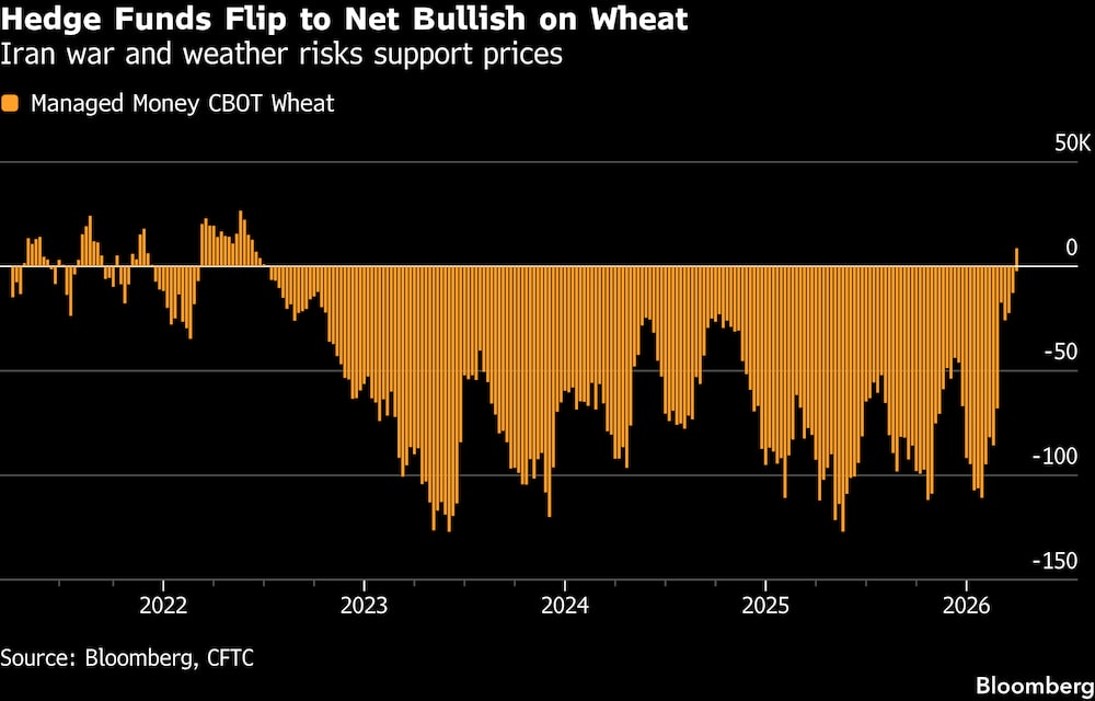 Los fondos de cobertura pasan a tener una postura alcista neta respecto al trigo. Los fondos de cobertura pasan a tener una postura alcista neta respecto al trigo.