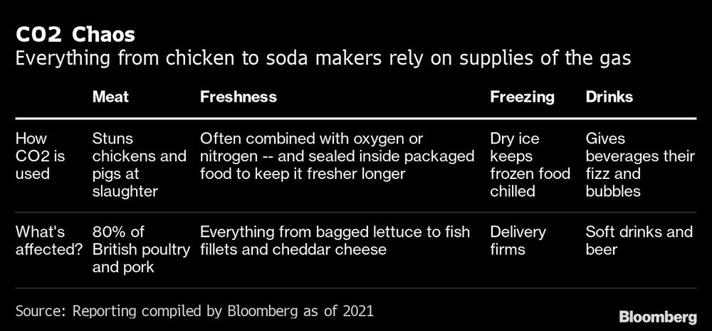 Todo, desde el pollo hasta los fabricantes de refrescos, dependen del suministro del gas Todo, desde el pollo hasta los fabricantes de refrescos, dependen del suministro del gas