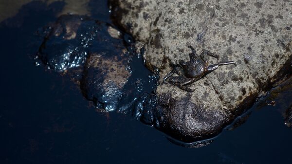 Repsol lamenta no comunicar sobre derrame de petróleo en Perú “de forma adecuada” Repsol lamenta no comunicar sobre derrame de petróleo en Perú “de forma adecuada”