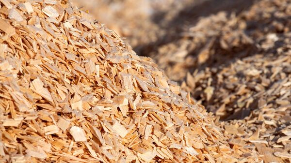 Suzano reduz produção de celulose em 3,5% diante de incertezas sobre tarifas Suzano reduz produção de celulose em 3,5% diante de incertezas sobre tarifas