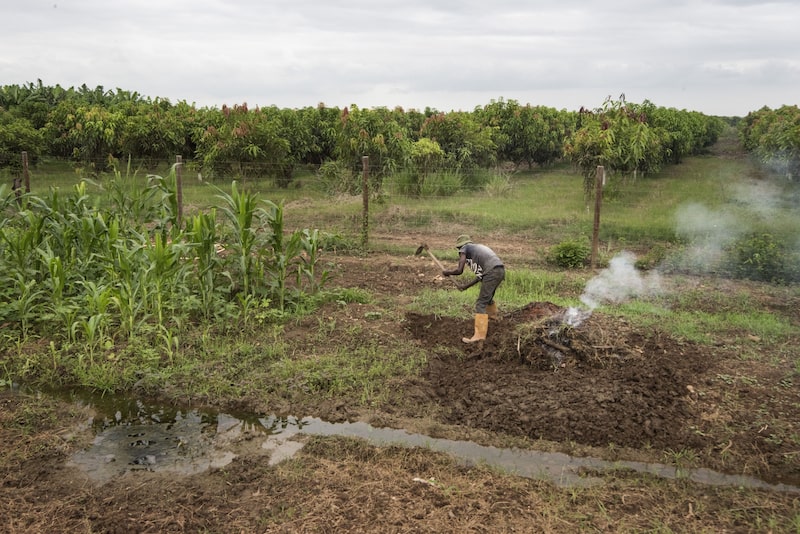 Angola identificou as terras no ano passado para que empresas brasileiras as explorassem e desenvolvessem (Foto: Rodger Bosch/AFP/Getty Images) Angola identificou as terras no ano passado para que empresas brasileiras as explorassem e desenvolvessem (Foto: Rodger Bosch/AFP/Getty Images)