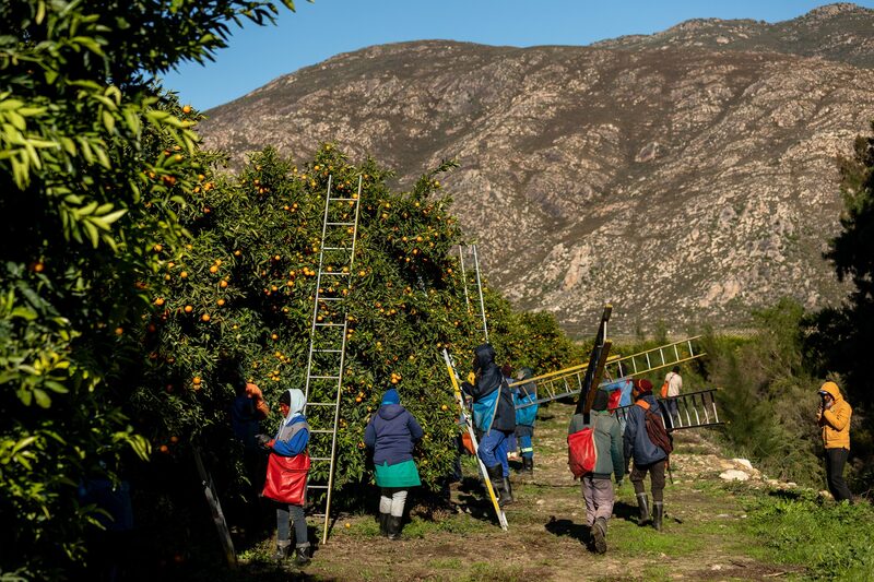 A África do Sul já solicitou que os EUA reduzam sua tarifa recíproca para a linha de base de 10% A África do Sul já solicitou que os EUA reduzam sua tarifa recíproca para a linha de base de 10%