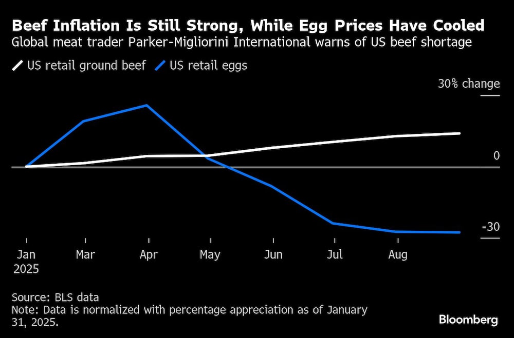 Carne de vacuno Carne de vacuno