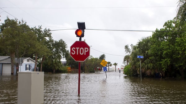 Idalia interrumpe el suministro eléctrico en el sureste de EE.UU. y bloquea los vuelos Idalia interrumpe el suministro eléctrico en el sureste de EE.UU. y bloquea los vuelos