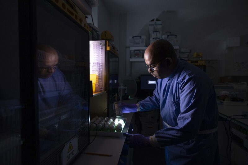 Laboratorio Laboratorio