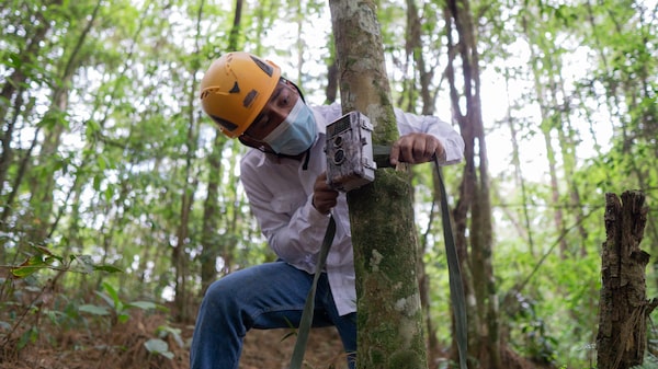 CMI Capital busca madurar el camino sustentable luego de sus bonos verdes CMI Capital busca madurar el camino sustentable luego de sus bonos verdes