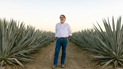 Sai vinho, entra ‘tequila’: produtores da Califórnia trocam uva por agave para driblar crise Sai vinho, entra ‘tequila’: produtores da Califórnia trocam uva por agave para driblar crise