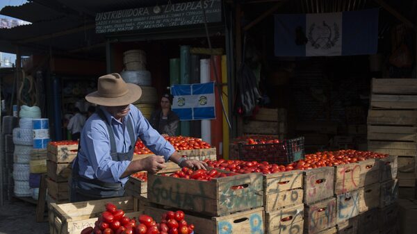 “Efecto tamal” en Guatemala ya no es tan estacional y platillo sube entre un 60 y 100% “Efecto tamal” en Guatemala ya no es tan estacional y platillo sube entre un 60 y 100%