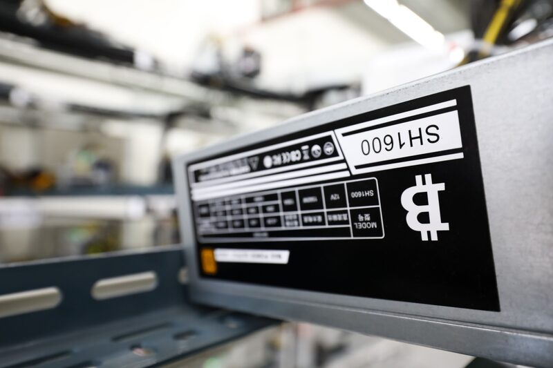 The survivors of the rout in cryptoassets could become the technology companies of the future. The survivors of the rout in cryptoassets could become the technology companies of the future.