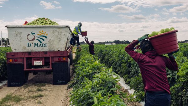 La advertencia de un agricultor que votó por Trump: las deportaciones masivas serían un desastre La advertencia de un agricultor que votó por Trump: las deportaciones masivas serían un desastre