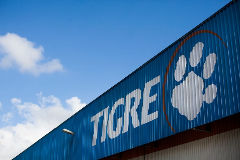 Tigre Tigre