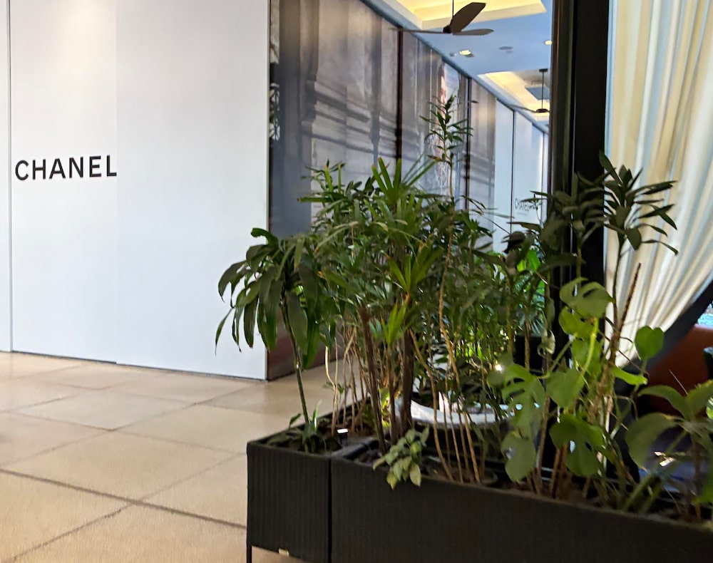 A Chanel prepara no Shopping Cidade Jardim a maior flagship da marca na América Latina, prevista para o primeiro trimestre de 2027. A Chanel prepara no Shopping Cidade Jardim a maior flagship da marca na América Latina, prevista para o primeiro trimestre de 2027.