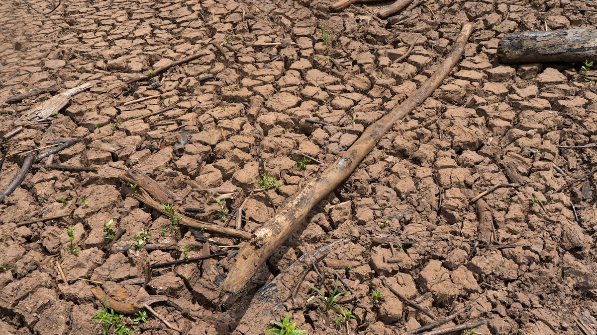 El Niño amenaza a América Latina y Deutsche Bank identifica los países más expuestos