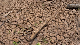 El Niño amenaza a América Latina y Deutsche Bank identifica los países más expuestos El Niño amenaza a América Latina y Deutsche Bank identifica los países más expuestos