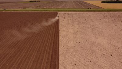 Escasez soja argentina agudiza problemas del próximo presidente Escasez soja argentina agudiza problemas del próximo presidente