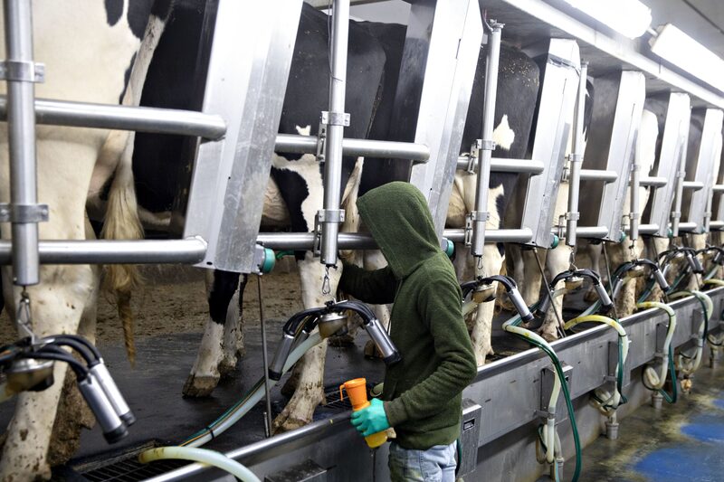 (Foto con fines ilustrativos). (Foto con fines ilustrativos).