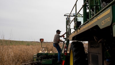 El riesgo de un fuerte fenómeno de El Niño amenaza mercados globales de alimentos y energía El riesgo de un fuerte fenómeno de El Niño amenaza mercados globales de alimentos y energía