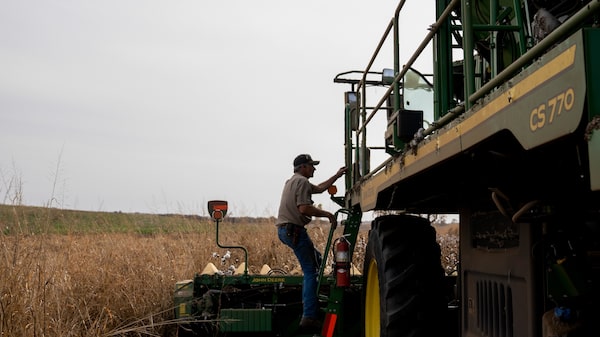 El riesgo de un fuerte fenómeno de El Niño amenaza mercados globales de alimentos y energía El riesgo de un fuerte fenómeno de El Niño amenaza mercados globales de alimentos y energía