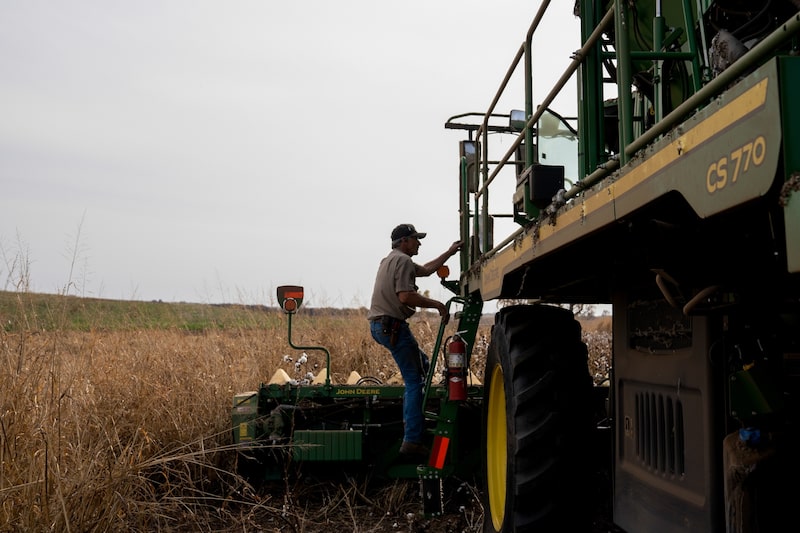 Un agricultor se sube a una cosechadora de algodón durante la cosecha en una finca cercana a Corn, Oklahoma. Un agricultor se sube a una cosechadora de algodón durante la cosecha en una finca cercana a Corn, Oklahoma.