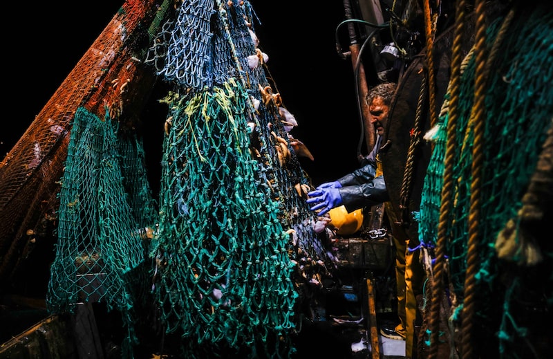 Pesca comercial Pesca comercial