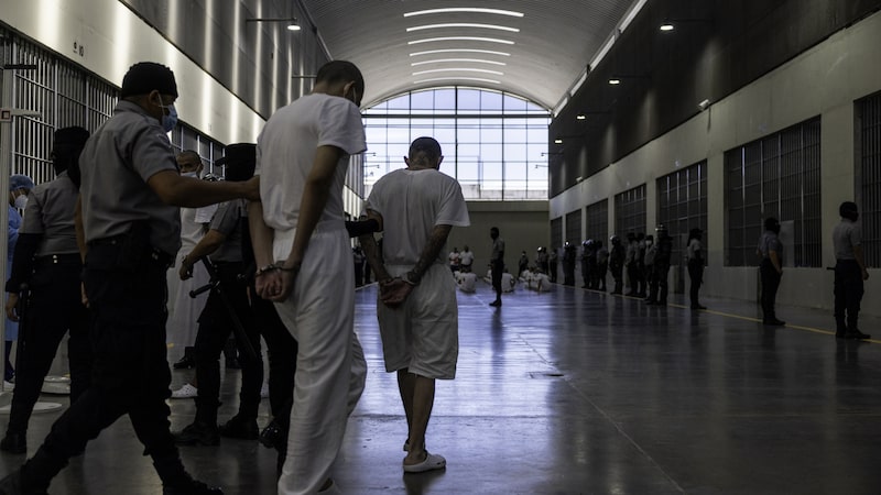 Juez dictamina que EE.UU. debe gestionar el retorno de un grupo de venezolanos deportados Juez dictamina que EE.UU. debe gestionar el retorno de un grupo de venezolanos deportados