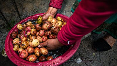 El trabajo informal es el gran problema laboral del Ecuador y pesa más en el campo El trabajo informal es el gran problema laboral del Ecuador y pesa más en el campo