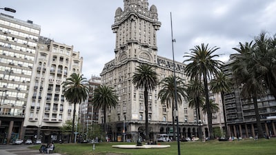 Inversionistas uruguayos aumentan sus apuestas por el peso y reducen su exposición al dólar Inversionistas uruguayos aumentan sus apuestas por el peso y reducen su exposición al dólar