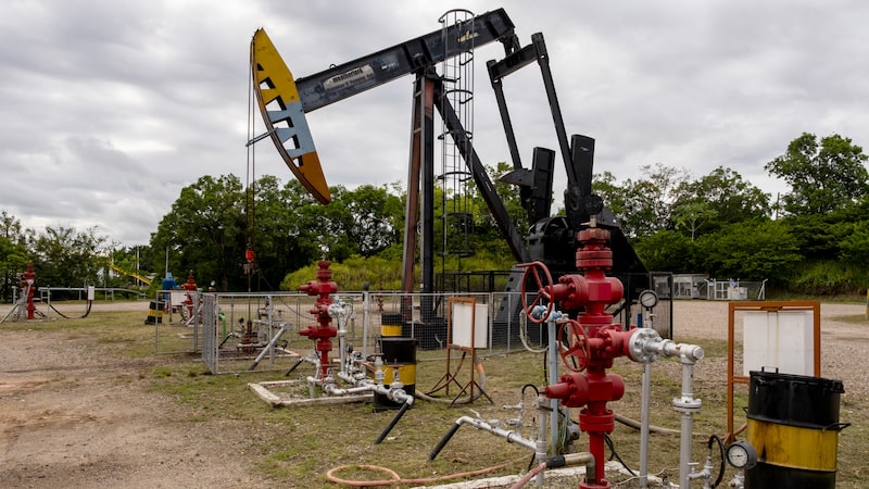 ¿Ecopetrol volverá a apostar por más petróleo? Ofertó por 25% de petrolera en Brasil ¿Ecopetrol volverá a apostar por más petróleo? Ofertó por 25% de petrolera en Brasil
