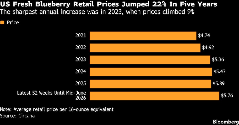 El mayor incremento anual se registró en 2023, cuando los precios subieron un 9%. El mayor incremento anual se registró en 2023, cuando los precios subieron un 9%.