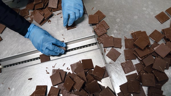 De bebidas a pães: processadores de cacau buscam crescer em produtos além do chocolate De bebidas a pães: processadores de cacau buscam crescer em produtos além do chocolate