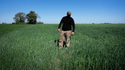 Bancos apostam em boom agrícola argentino após Milei cortar tarifas de exportação Bancos apostam em boom agrícola argentino após Milei cortar tarifas de exportação